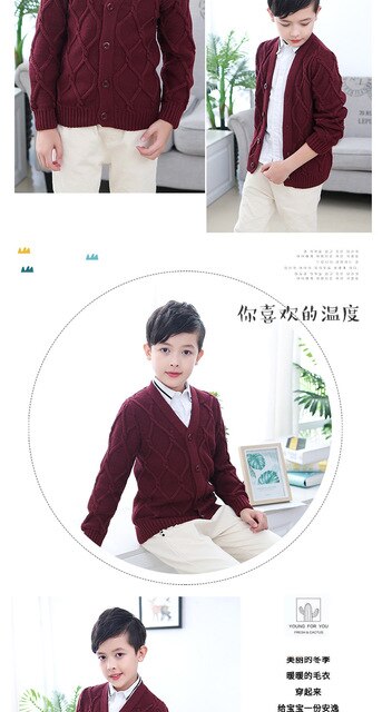Rozpinany sweter kurtka dla chłopców - wiosenny/jesienny, żakardowy z dekoltem w kształcie litery V, dla dzieci w wieku 2-10 lat - Wianko - 11