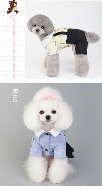 Płaszcz dla małych i średnich psów Chihuahua - para ubrań dla zwierząt domowych - Wianko - 7