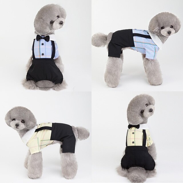 Płaszcz dla małych i średnich psów Chihuahua - para ubrań dla zwierząt domowych - Wianko - 1