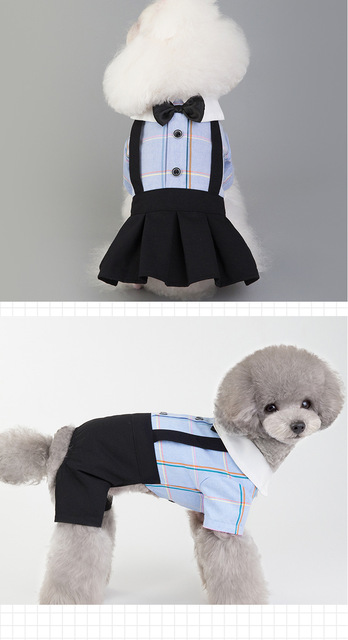 Płaszcz dla małych i średnich psów Chihuahua - para ubrań dla zwierząt domowych - Wianko - 8