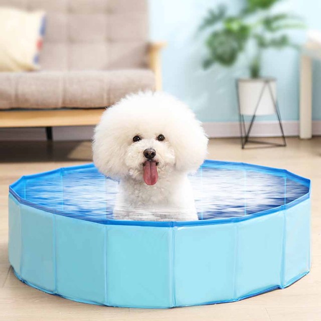 Duży składany basen dla psów - wanna kąpielowa dla zwierząt domowych, idealna dla kotów i dzieci - Wianko - 11