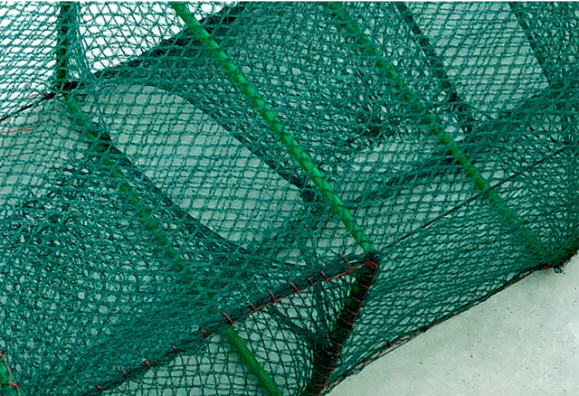Składana nylonowa siatka wędkarska do krabów, węgorzy i homarów - przyrząd do łowienia żywych skorupiaków - Wianko - 10