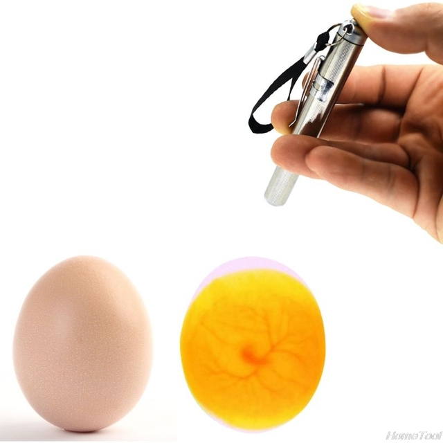 Lampa LED Eggtester Eggling - narzędzie inkubacji dla drobiu, zimne światło, wysoka jakość - Wianko - 6
