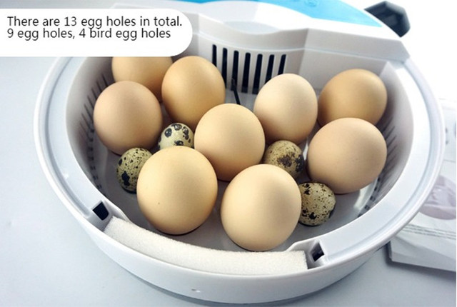 Inkubator jaj Mini 9 z automatycznym wylęgiaczem i regulacją temperatury - taca na jajka LED - Wianko - 17