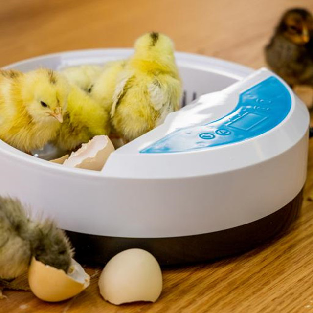 Inkubator jaj Mini 9 z automatycznym wylęgiaczem i regulacją temperatury - taca na jajka LED - Wianko - 10