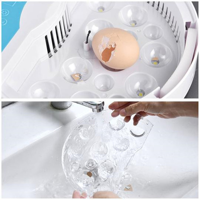 Inkubator jaj Mini 9 z automatycznym wylęgiaczem i regulacją temperatury - taca na jajka LED - Wianko - 11