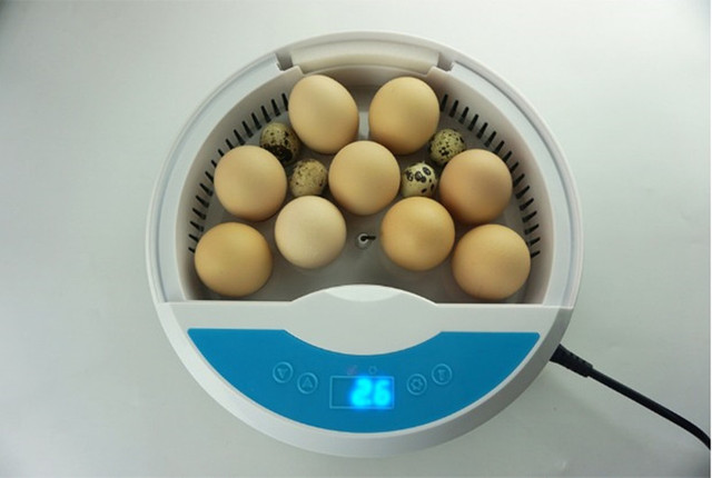 Inkubator jaj Mini 9 z automatycznym wylęgiaczem i regulacją temperatury - taca na jajka LED - Wianko - 16