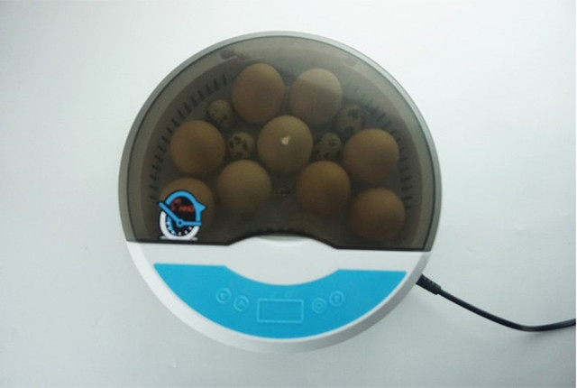 Inkubator jaj Mini 9 z automatycznym wylęgiaczem i regulacją temperatury - taca na jajka LED - Wianko - 18