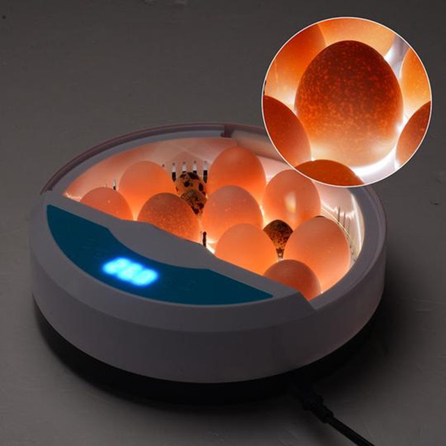 Inkubator jaj Mini 9 z automatycznym wylęgiaczem i regulacją temperatury - taca na jajka LED - Wianko - 9