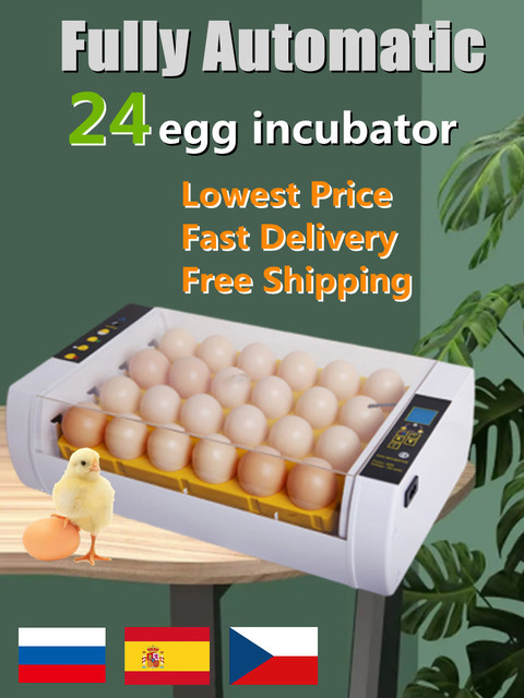Inkubator jaj Mini 9 z automatycznym wylęgiaczem i regulacją temperatury - taca na jajka LED - Wianko - 19