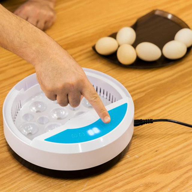 Inkubator jaj Mini 9 z automatycznym wylęgiaczem i regulacją temperatury - taca na jajka LED - Wianko - 7