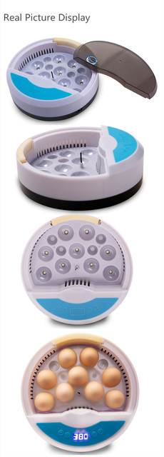 Inkubator jaj Mini 9 z automatycznym wylęgiaczem i regulacją temperatury - taca na jajka LED - Wianko - 13