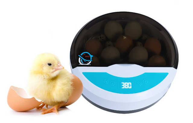 Inkubator jaj Mini 9 z automatycznym wylęgiaczem i regulacją temperatury - taca na jajka LED - Wianko - 4