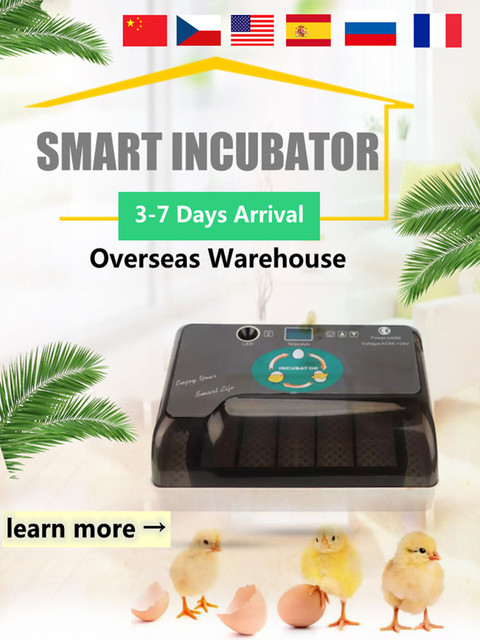 Inkubator jaj Mini 9 z automatycznym wylęgiaczem i regulacją temperatury - taca na jajka LED - Wianko - 1