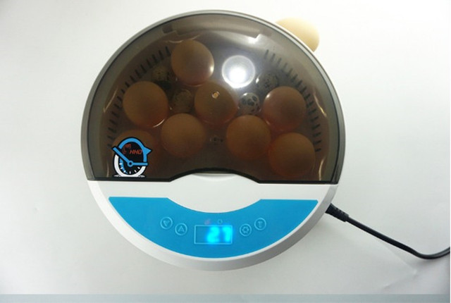 Inkubator jaj Mini 9 z automatycznym wylęgiaczem i regulacją temperatury - taca na jajka LED - Wianko - 14