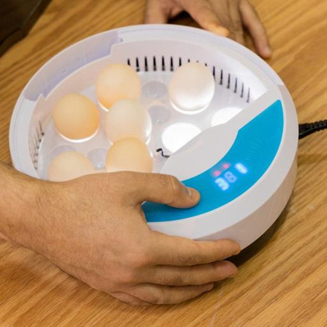 Inkubator jaj Mini 9 z automatycznym wylęgiaczem i regulacją temperatury - taca na jajka LED - Wianko - 8