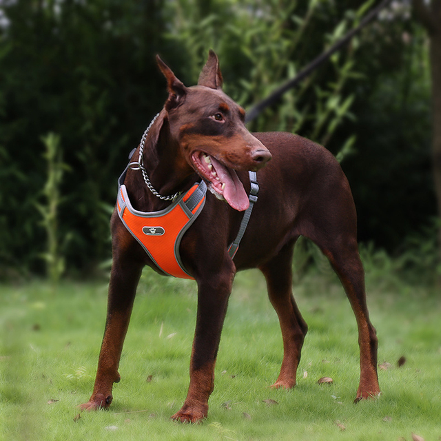 Nowy odblaskowy pas piersiowy dla dużego psa - szelki ze siatkową kamizelką dla labradora, pitbulla i husky'ego, idealne do treningu i chodzenia - Wianko - 13