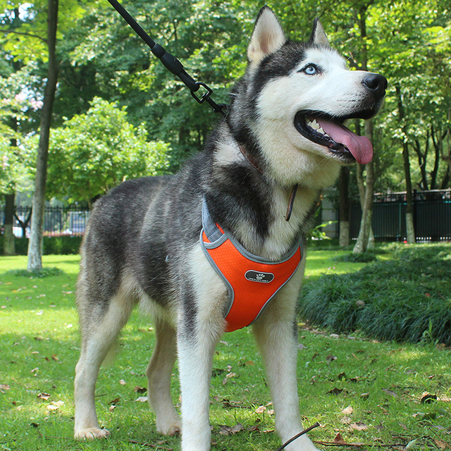 Nowy odblaskowy pas piersiowy dla dużego psa - szelki ze siatkową kamizelką dla labradora, pitbulla i husky'ego, idealne do treningu i chodzenia - Wianko - 26