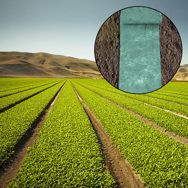 Biodegradowalne nasiona trawy Starter Mat - 3/10M x 0.2M - narzędzia do kiełkowania trawy - Wianko - 7