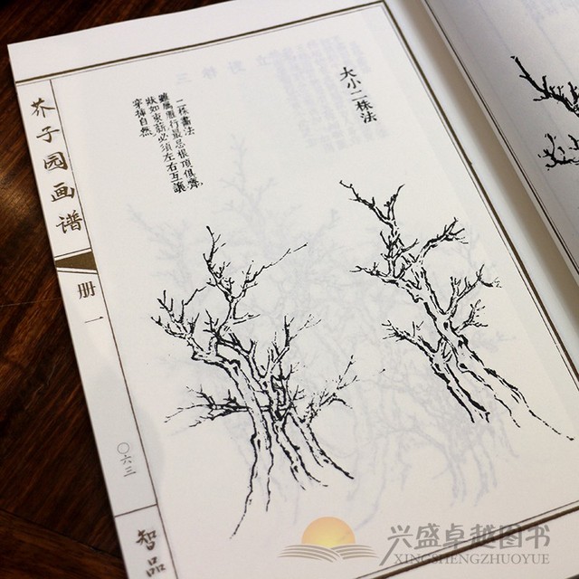 Ogród z nasion gorczycy - zestaw 4 chińskich książek o fotografii artystycznej, Jie Zi Yuan, 21cm x 28.5cm, 163 strony - Wianko - 5