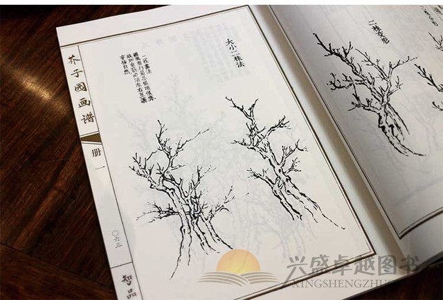Ogród z nasion gorczycy - zestaw 4 chińskich książek o fotografii artystycznej, Jie Zi Yuan, 21cm x 28.5cm, 163 strony - Wianko - 13