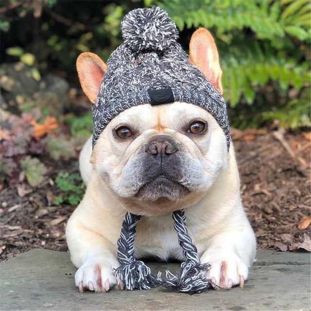 Ciepły kapelusz z dzianiny wiatroszczelnej dla psów na jesień i zimę z kulką i buldogiem francuskim - dla psa Chihuahua - Wianko - 5