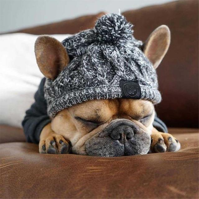 Ciepły kapelusz z dzianiny wiatroszczelnej dla psów na jesień i zimę z kulką i buldogiem francuskim - dla psa Chihuahua - Wianko - 4