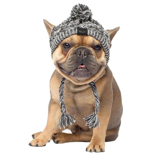 Ciepły kapelusz z dzianiny wiatroszczelnej dla psów na jesień i zimę z kulką i buldogiem francuskim - dla psa Chihuahua - Wianko - 13