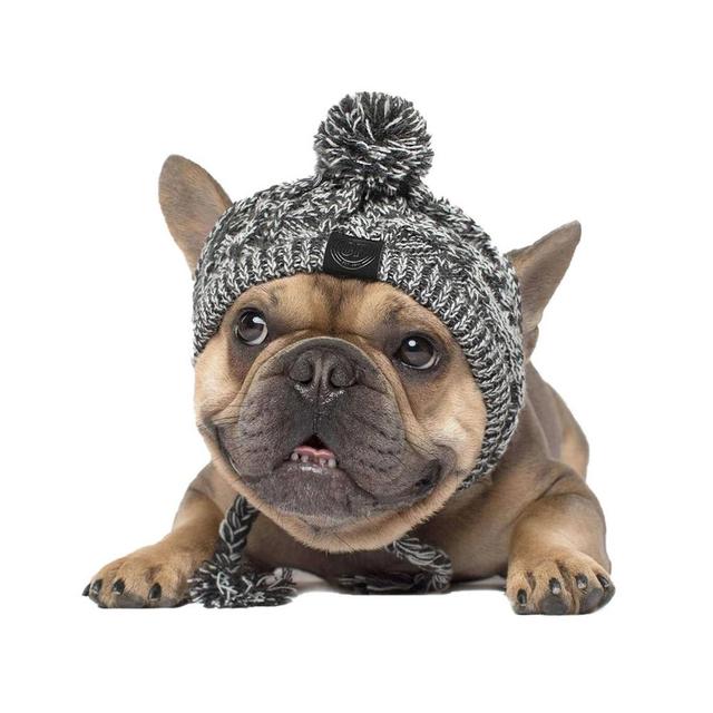 Ciepły kapelusz z dzianiny wiatroszczelnej dla psów na jesień i zimę z kulką i buldogiem francuskim - dla psa Chihuahua - Wianko - 2
