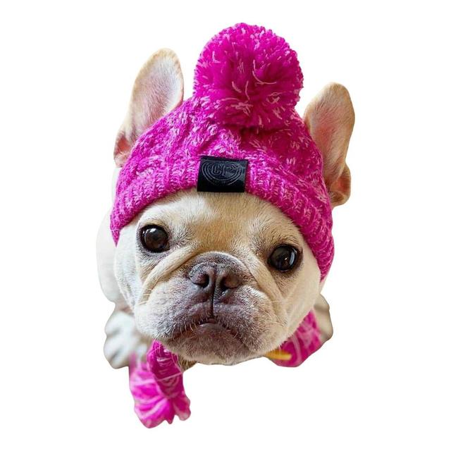 Ciepły kapelusz z dzianiny wiatroszczelnej dla psów na jesień i zimę z kulką i buldogiem francuskim - dla psa Chihuahua - Wianko - 11
