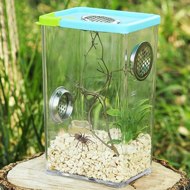 Hurtownie pudełka do karmienia gadów inkubator przezroczysty akrylowy Terrarium dla gadów pudełko do karmienia domowe zwierzę dom dla pająka skorpiona - Wianko - 4