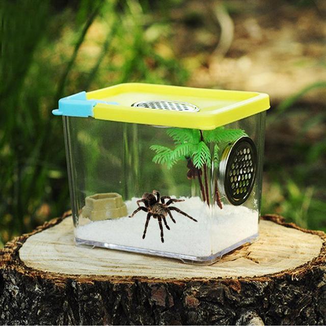 Hurtownie pudełka do karmienia gadów inkubator przezroczysty akrylowy Terrarium dla gadów pudełko do karmienia domowe zwierzę dom dla pająka skorpiona - Wianko - 3