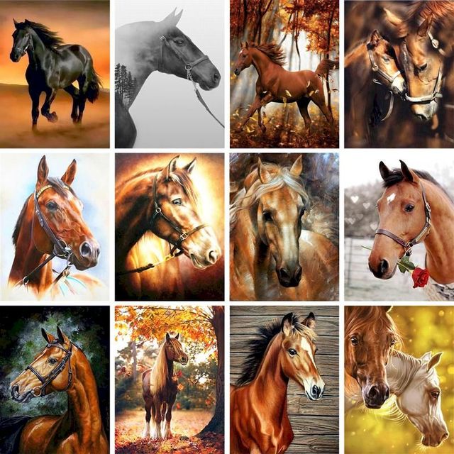 Obraz konia do malowania numerami - zwierzęcy rysunek na płótnie z farbami akrylowymi - Home Decor - Wianko - 1
