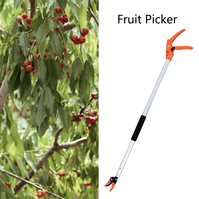 Tytuł produktu po polsku: Narzędzie do przycinania gałęzi na wysokości High Branch z dostępnym uchwytem aluminiowym oraz zbierakiem owoców - Wianko - 9