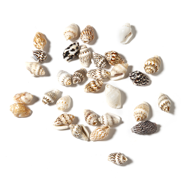 100 sztuk/partia Naturalne koraliki z łupka Conch do biżuterii na lato - Tworzenie bransoletek i przywieszek plażowych - Wianko - 13