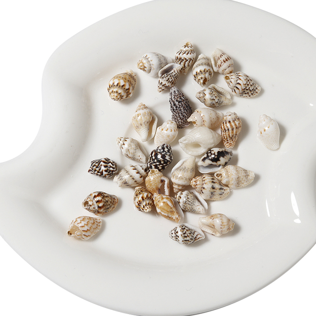 100 sztuk/partia Naturalne koraliki z łupka Conch do biżuterii na lato - Tworzenie bransoletek i przywieszek plażowych - Wianko - 14