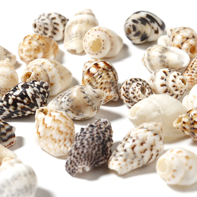 100 sztuk/partia Naturalne koraliki z łupka Conch do biżuterii na lato - Tworzenie bransoletek i przywieszek plażowych - Wianko - 11