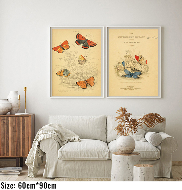 Malarstwo biologiczne – motyl owad plakat w stylu vintage na płótnie dla miłośników edukacji i dekoracji wnętrz - Wianko - 2