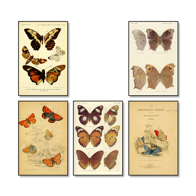 Malarstwo biologiczne – motyl owad plakat w stylu vintage na płótnie dla miłośników edukacji i dekoracji wnętrz - Wianko - 4