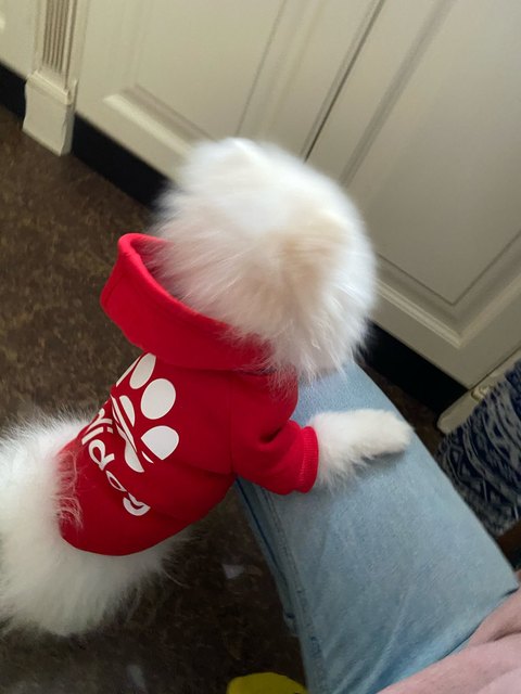 Ciepła Bluza z kapturem dla psów - Moda zimowa, bawełniana odzież dla dużych zwierząt domowych, idealna dla labradorów, mopów i szczeniąt - Wianko - 3