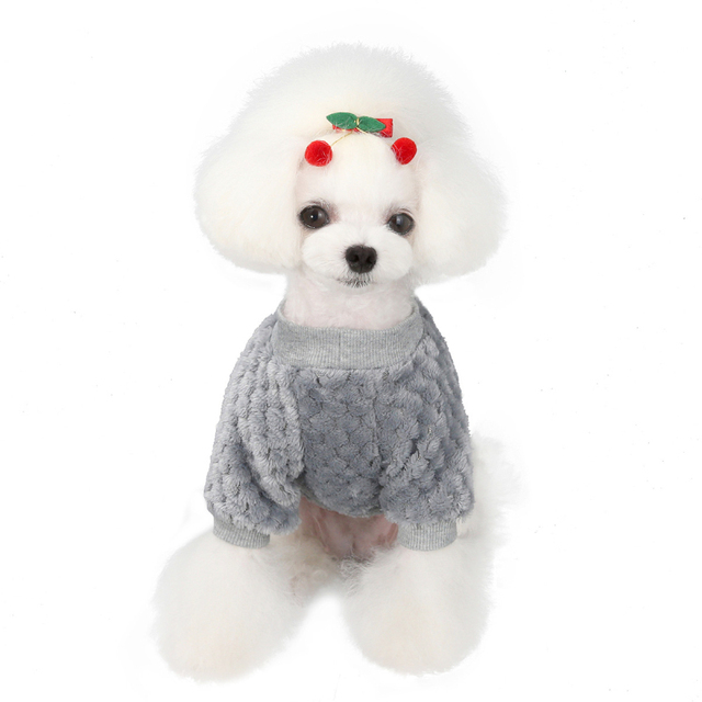 Miękka bluza z kapturem dla psa - Zimowe ubranie dla małych psów Yorkshire, Yorkie, Pomorskie, Maltańskie - Wianko - 21
