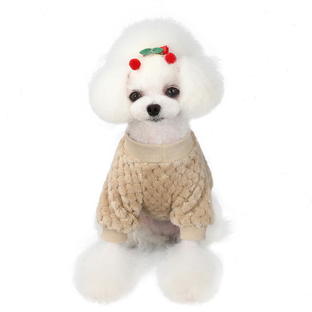 Miękka bluza z kapturem dla psa - Zimowe ubranie dla małych psów Yorkshire, Yorkie, Pomorskie, Maltańskie - Wianko - 17