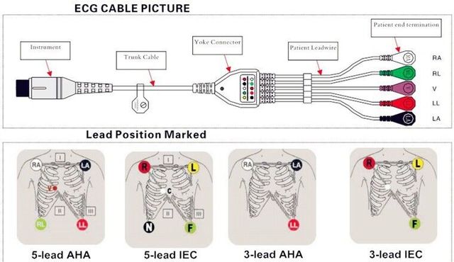 Kabel EKG 5-leadwire 2021 kompatybilny z monitorem pacjenta Philips/HP 12Pin MP20/VM6 Snap End AHA - Wianko - 3