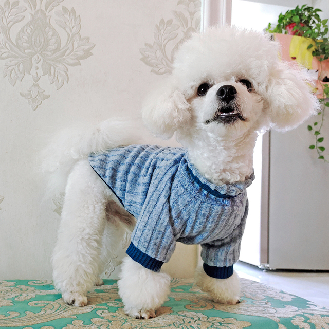 Miękki zimowy sweter dla kota i psa, płaszcz z dzianiny - ubranie dla buldoga francuskiego, Chihuahua, szczeniąt - Wianko - 16