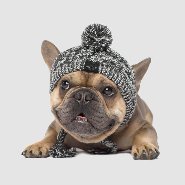 Czapka zimowa dla małych psów - ciepłe nakrycie głowy dla psów ras: mops, buldog francuski, Akita - nieprzemakalna, wykonana z dzianiny - Wianko - 9