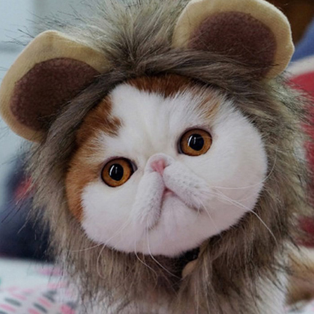 Nakrycie głowy dla kota w stylu lwa brązowego - śmieszne przebranie domowe, uniwersalny i uroczy prezent dla zwierzątka - Wianko - 14