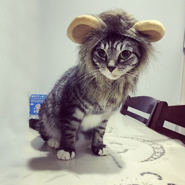 Nakrycie głowy dla kota w stylu lwa brązowego - śmieszne przebranie domowe, uniwersalny i uroczy prezent dla zwierzątka - Wianko - 17