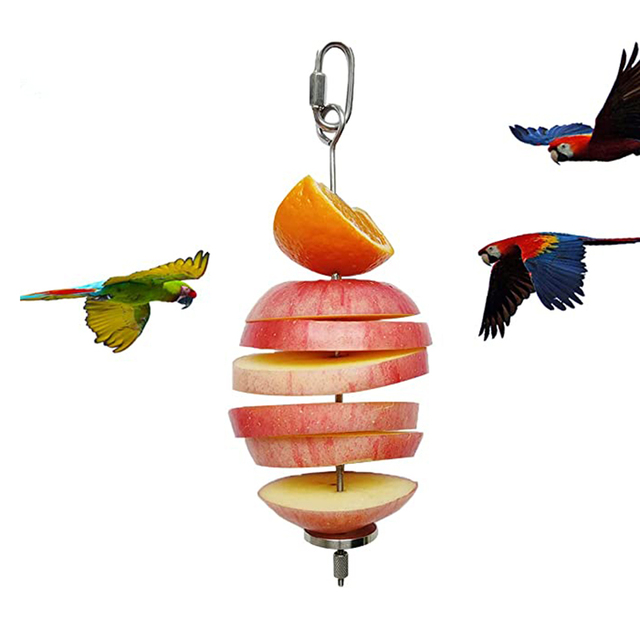 Uchwyt na pokarm dla wysokiej jakości papug - stal nierdzewna, owoce, warzywa, mięso - Wianko - 4
