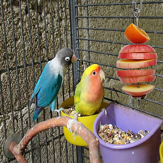 Uchwyt na pokarm dla wysokiej jakości papug - stal nierdzewna, owoce, warzywa, mięso - Wianko - 5