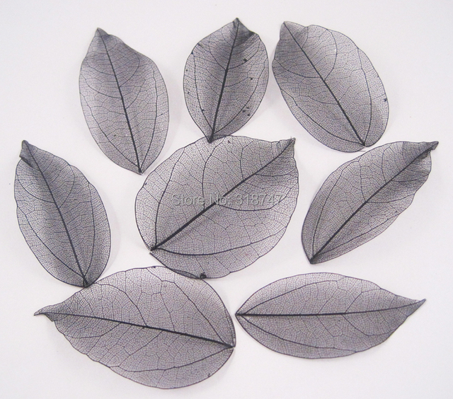 36 sztuk wielobarwnych naturalnych suchych liści do scrapbookingu Lucia Crafts - C0704 - Wianko - 15